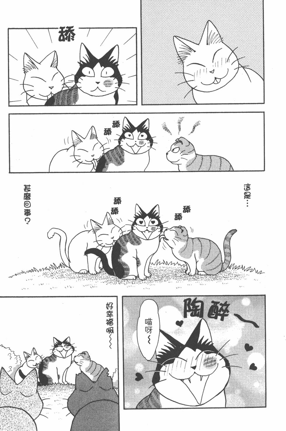 第217页