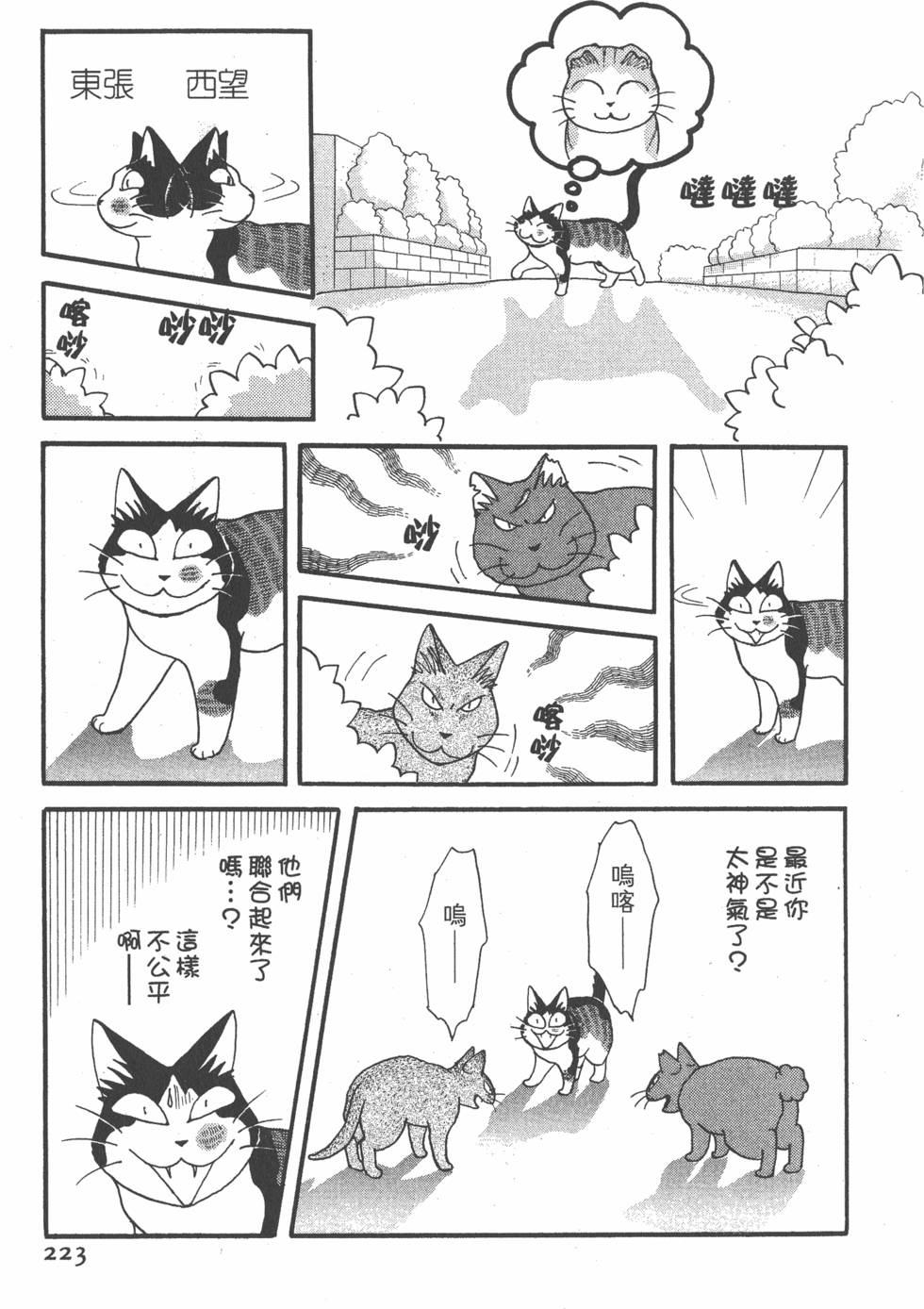 第221页