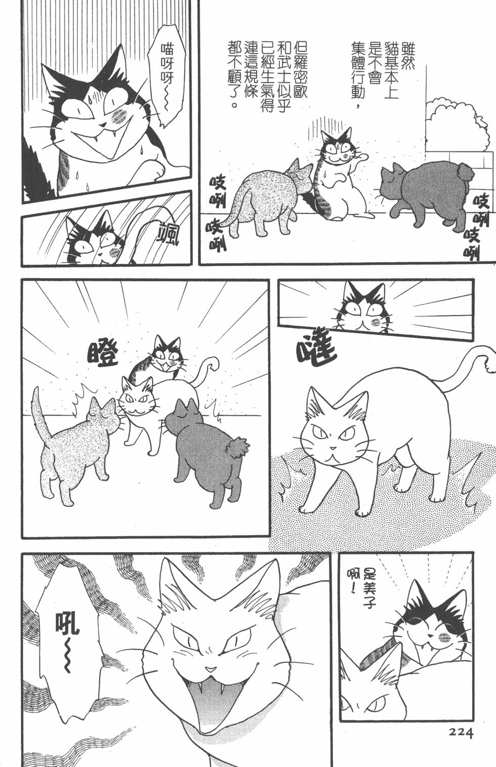 第222页