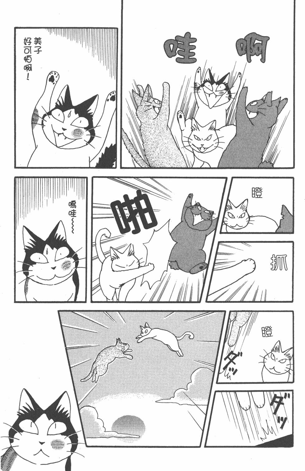 第223页