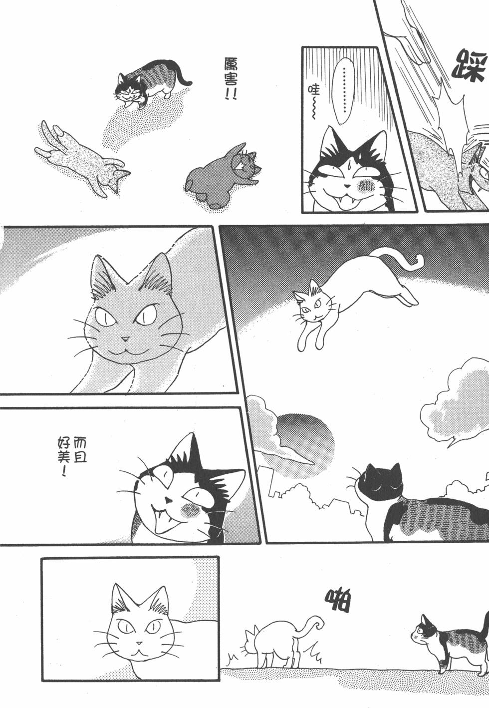 第224页