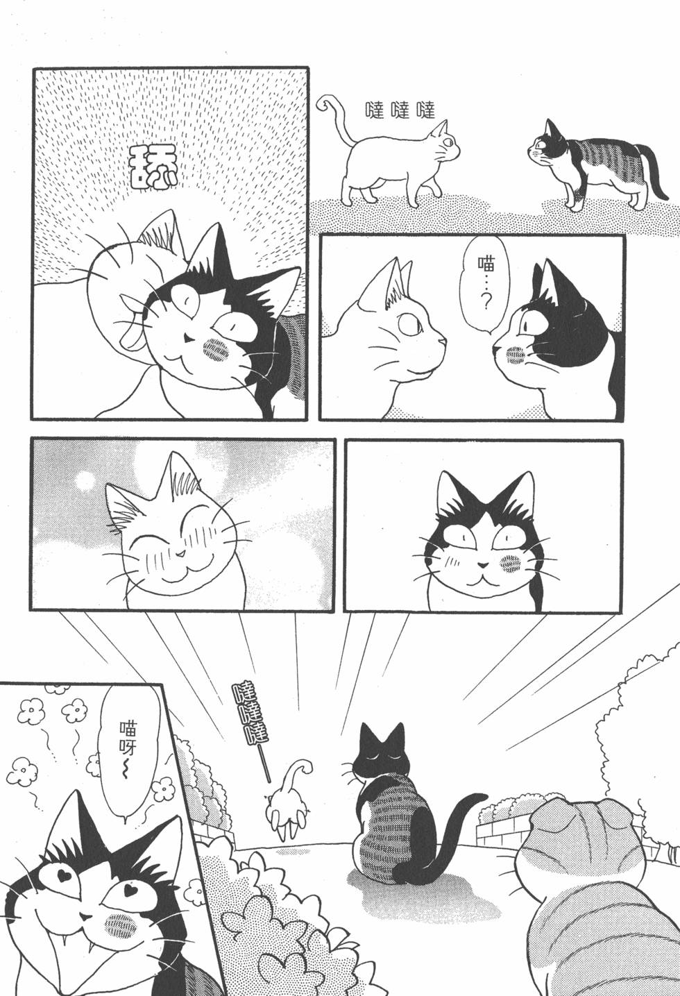 第225页