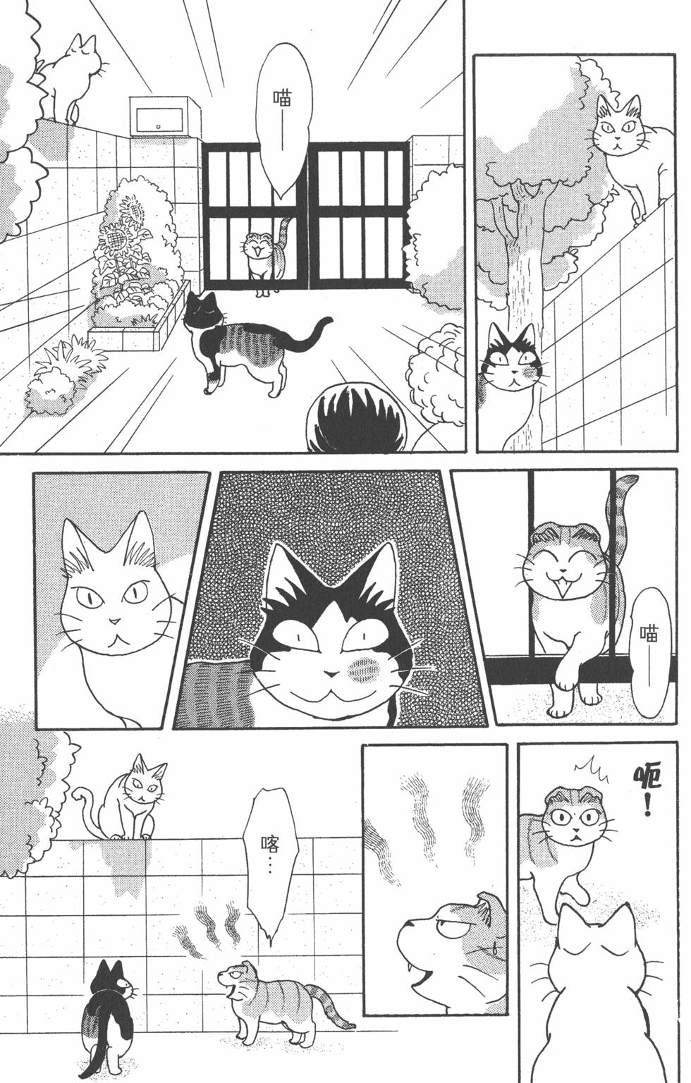 第229页