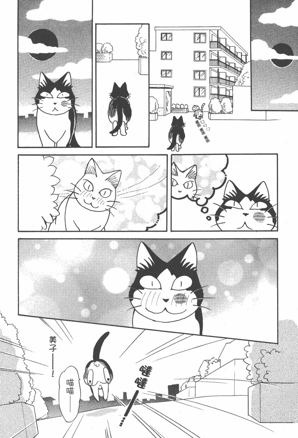 第232页