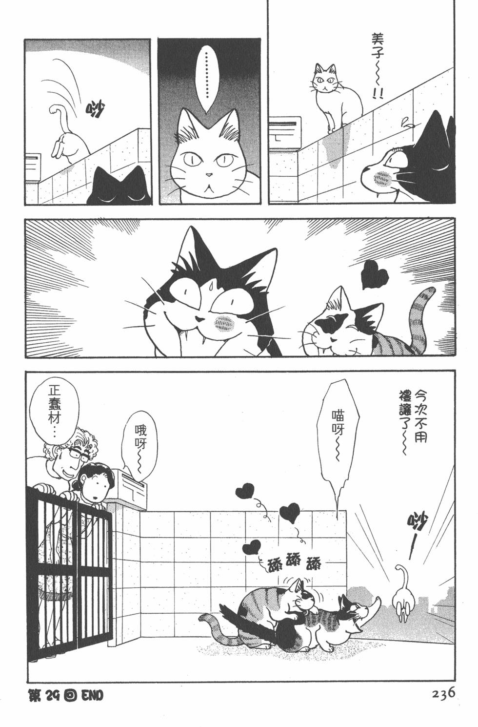 第234页