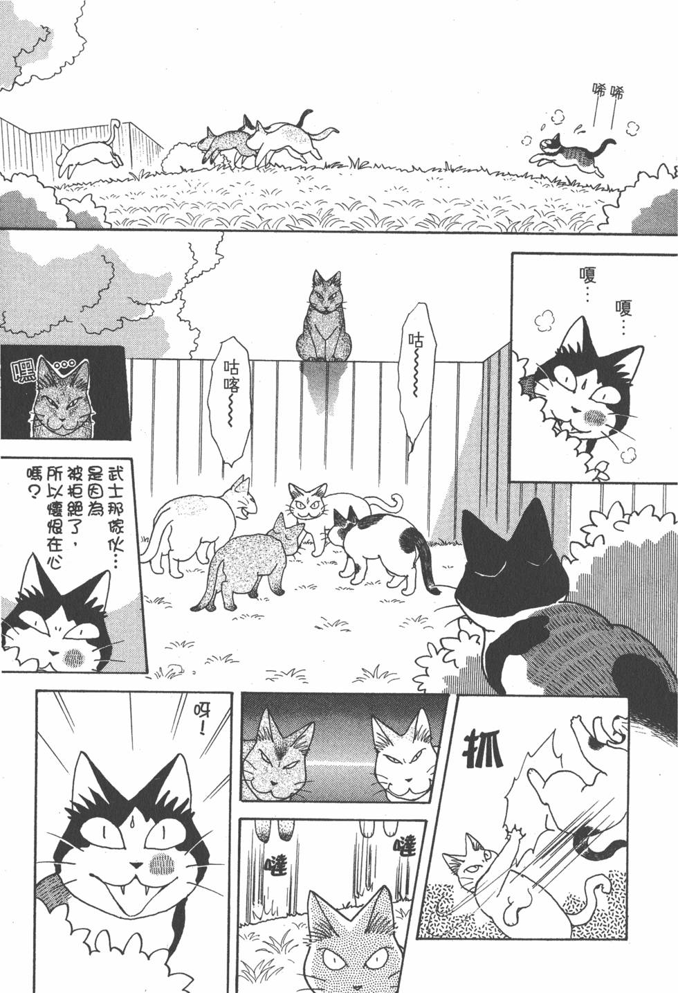 第239页