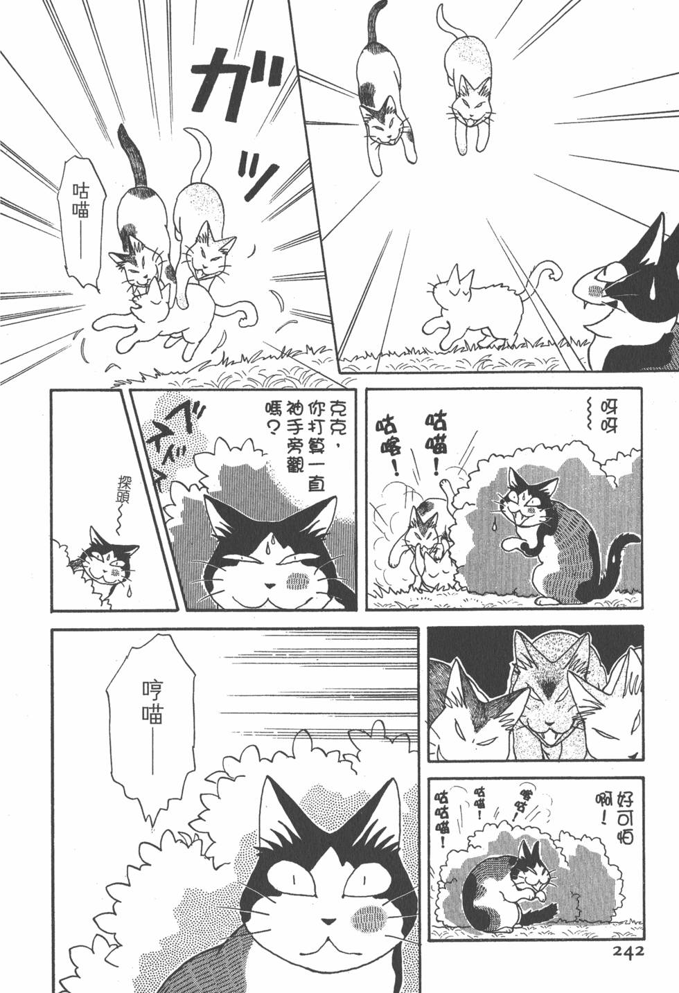 第240页