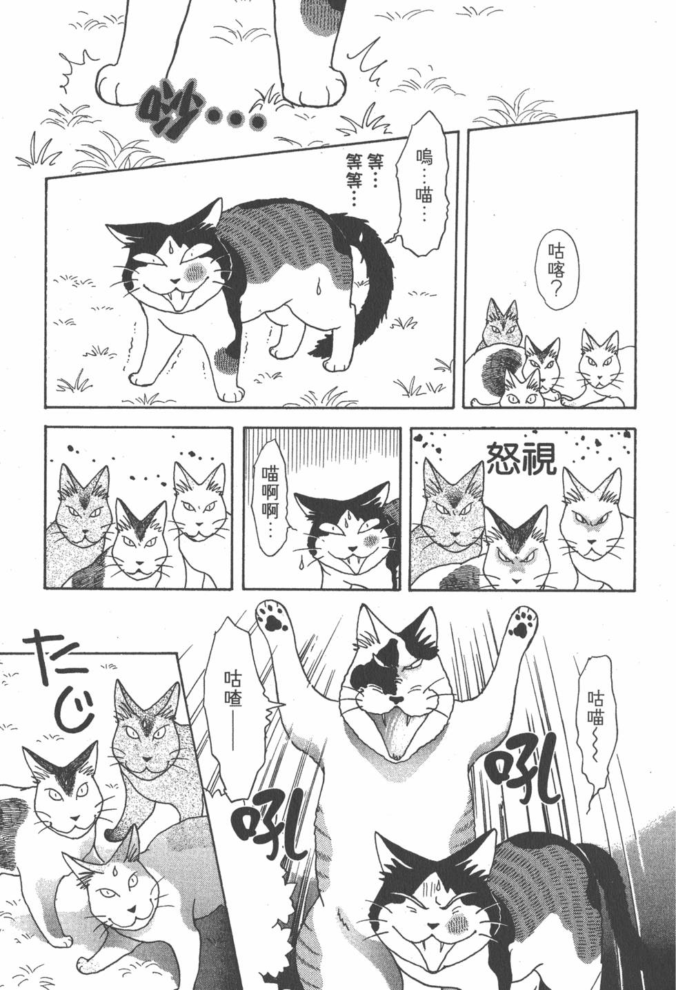 第241页