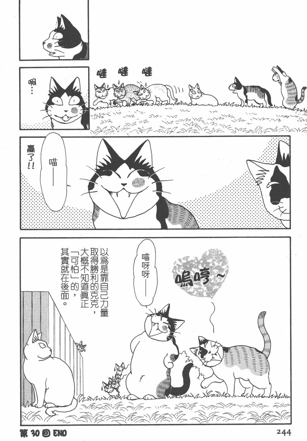 第242页