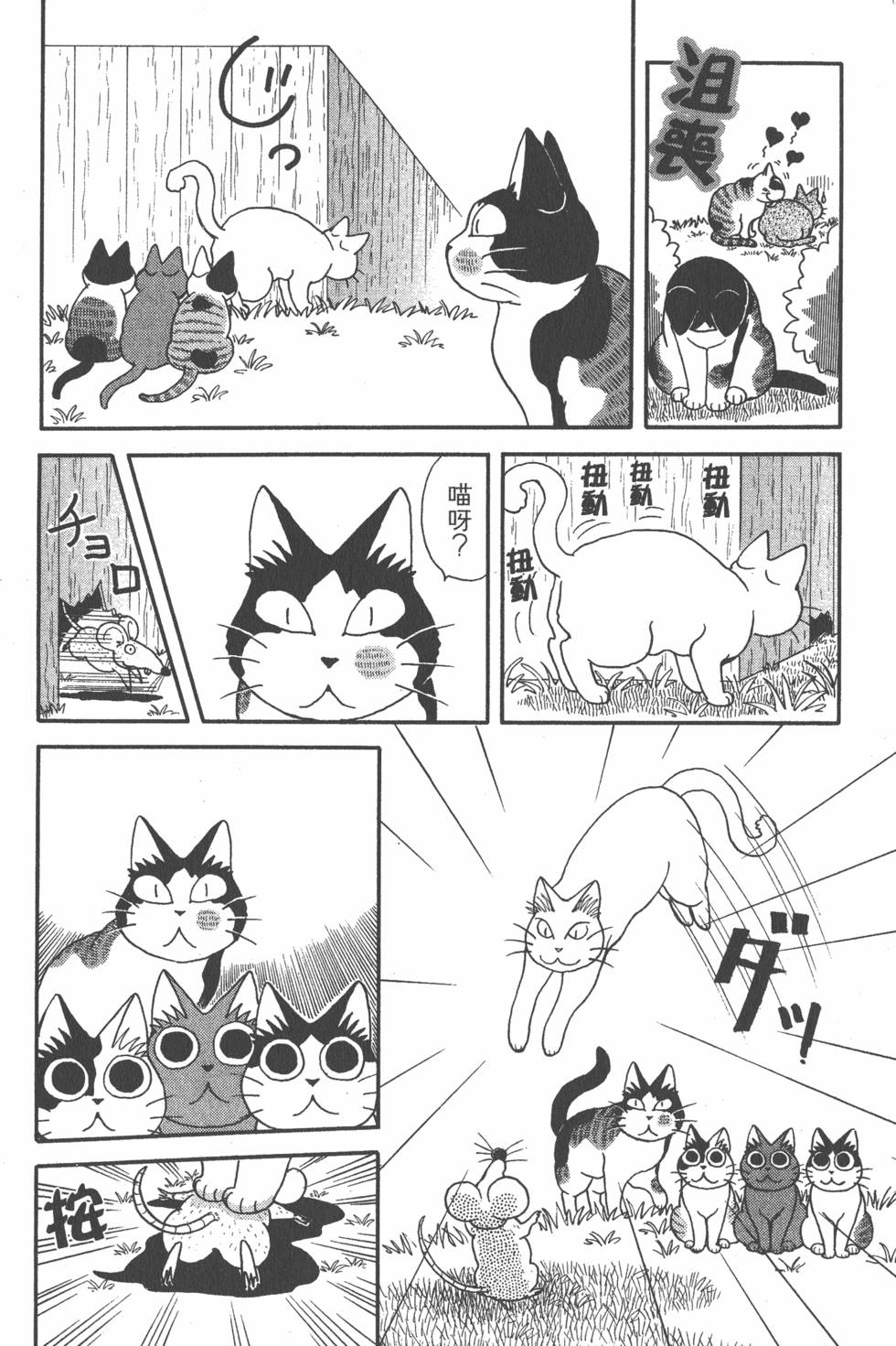 第244页