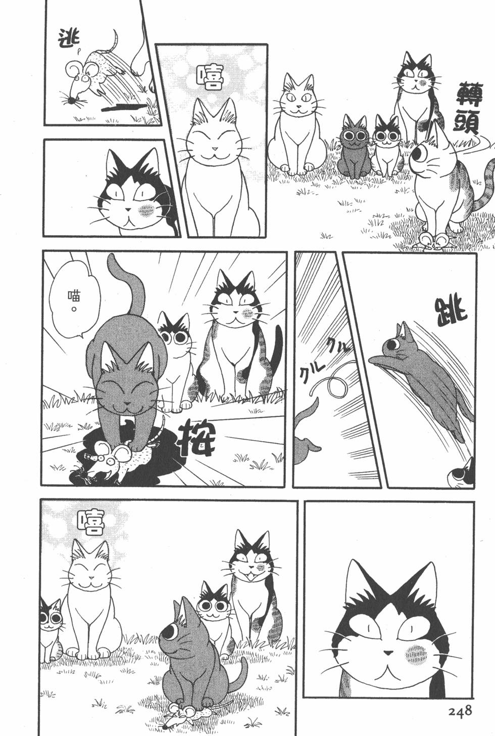 第246页