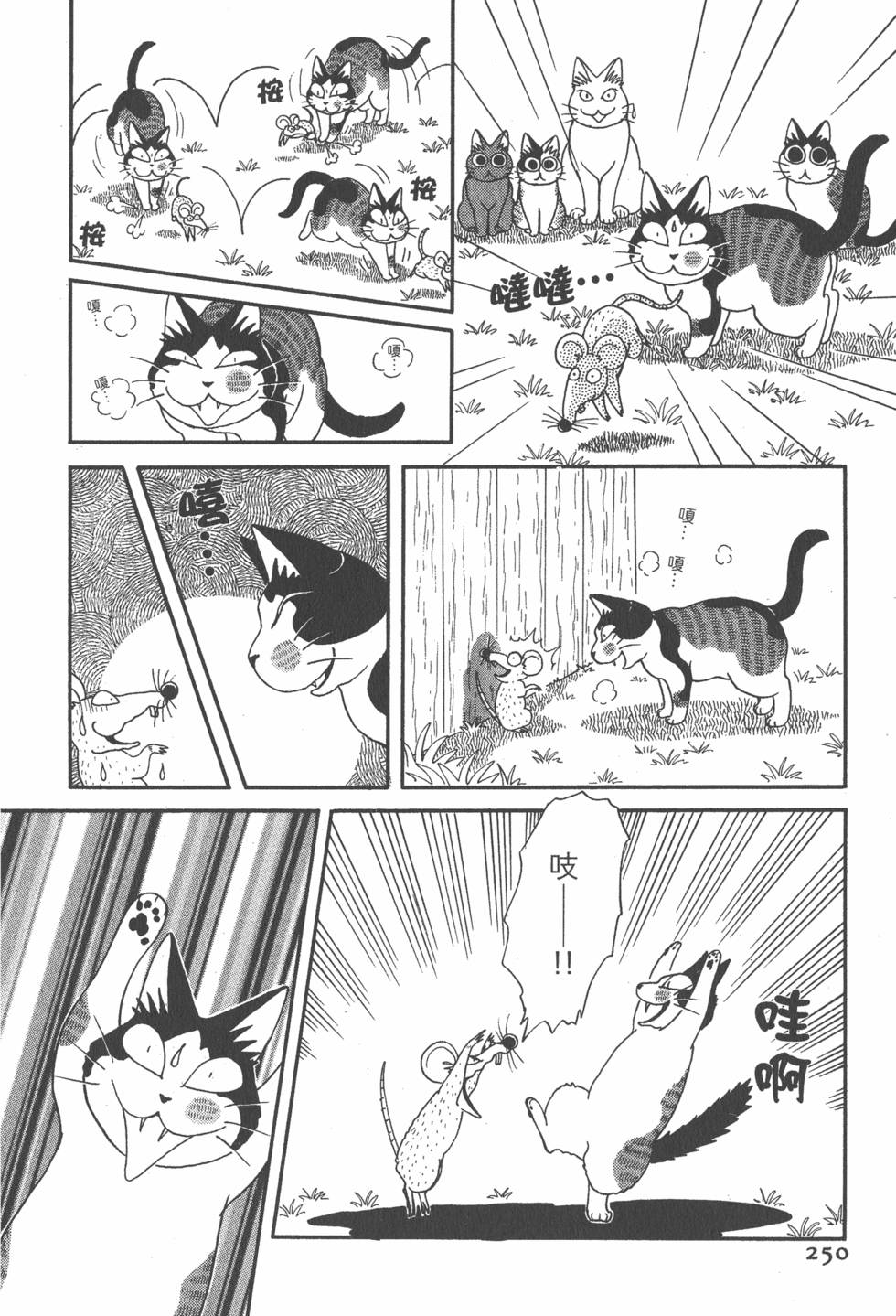 第248页