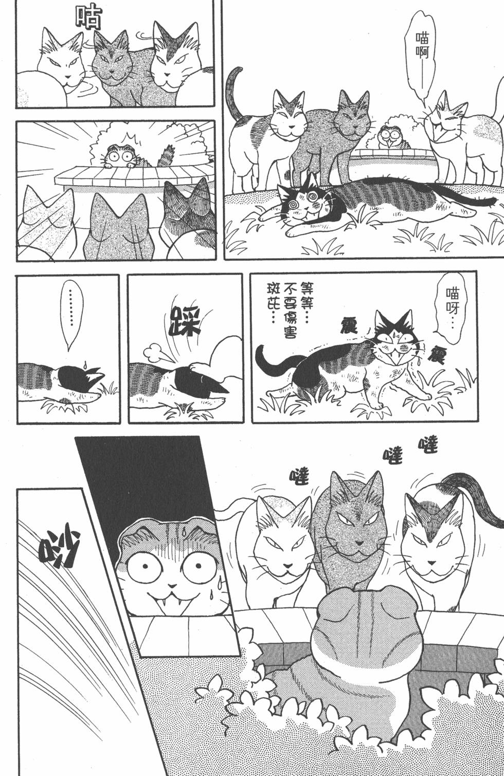 第254页