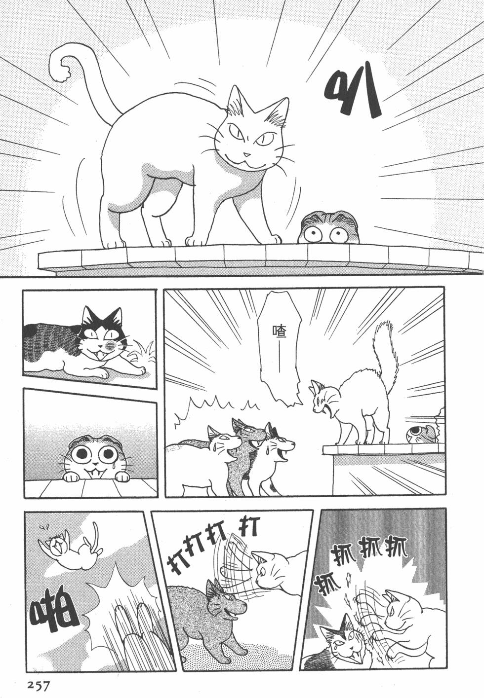 第255页