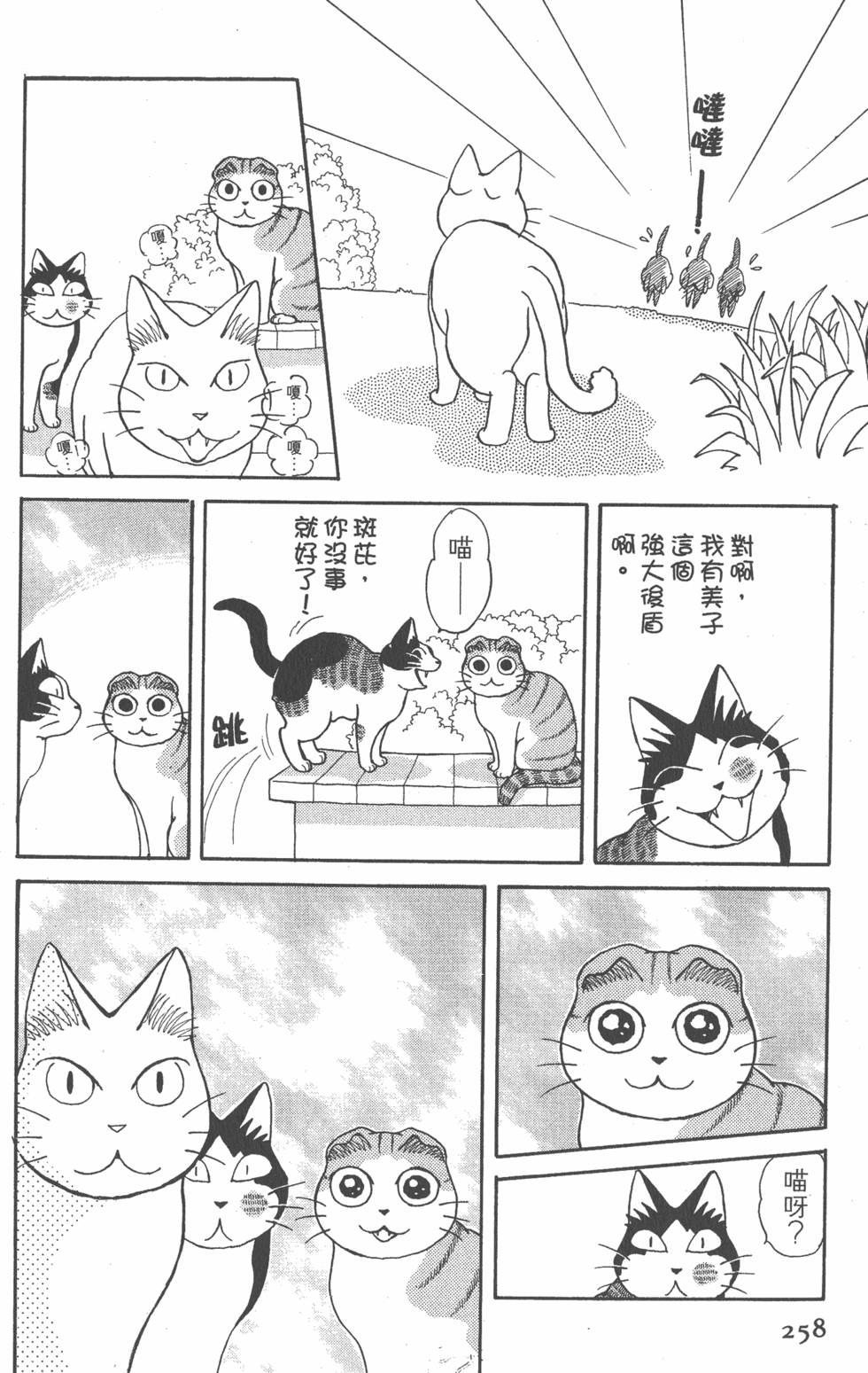 第256页