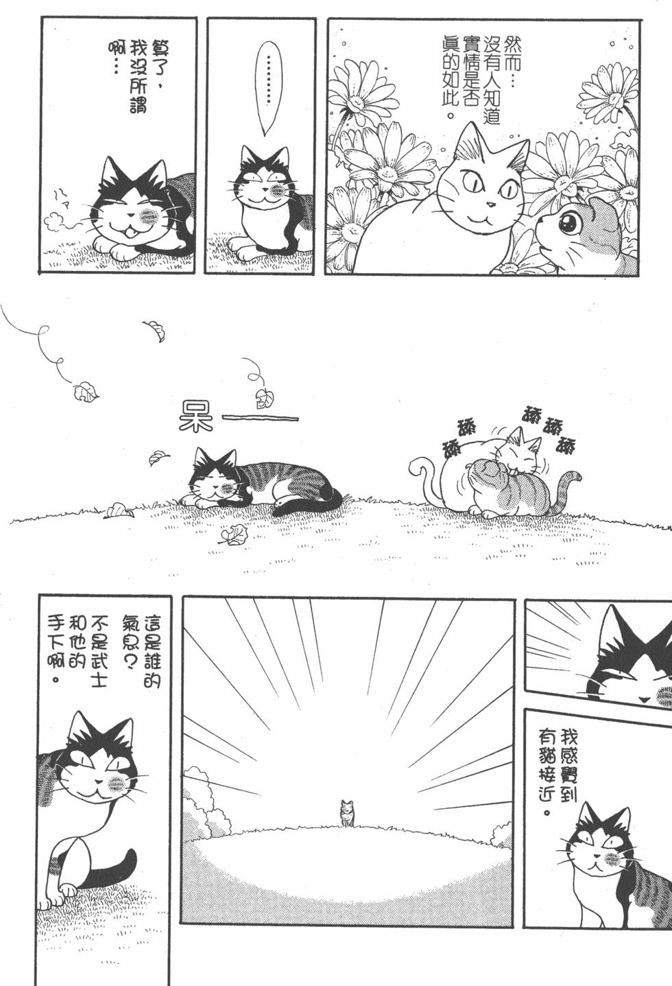 第262页