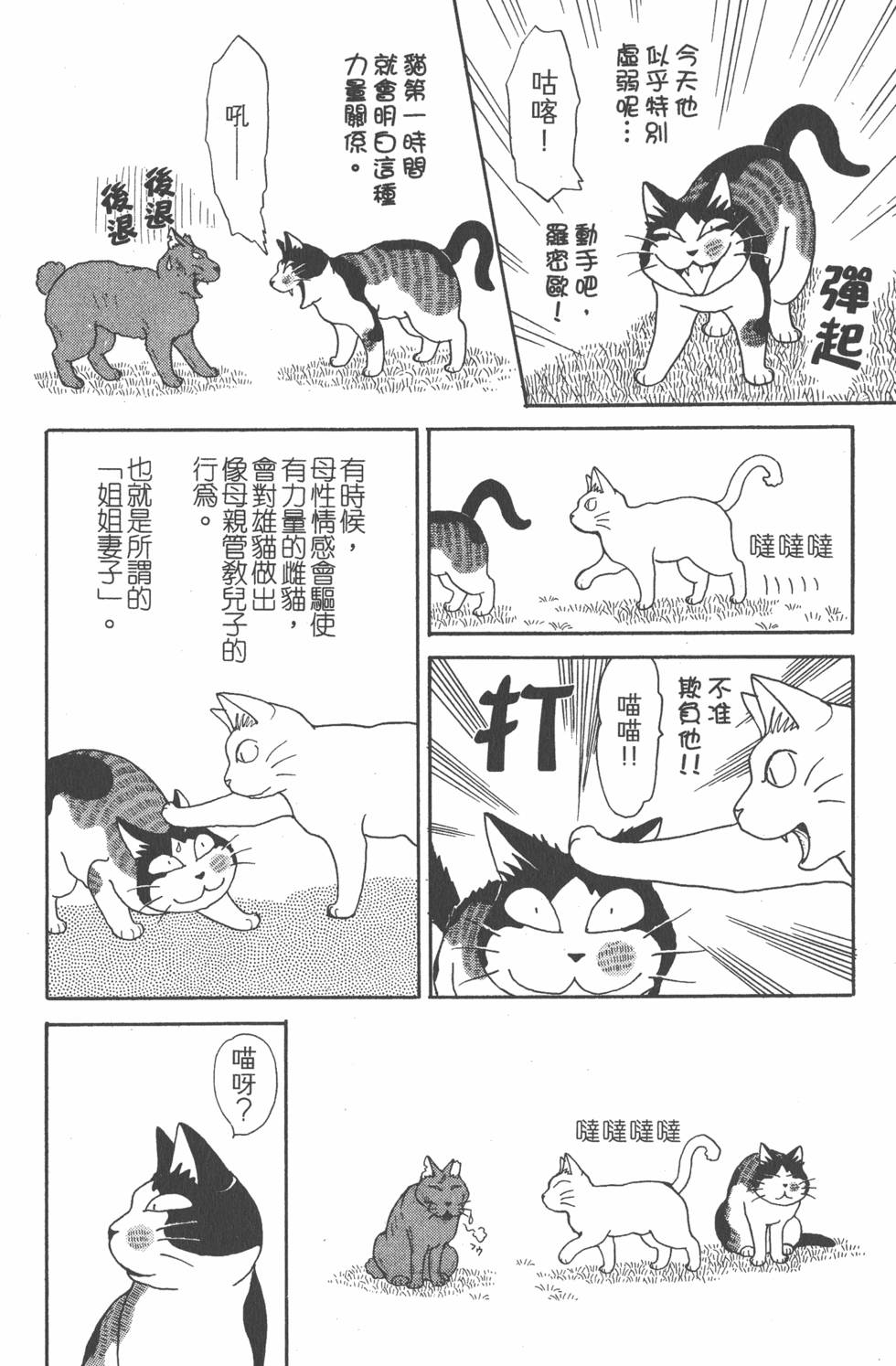 第264页
