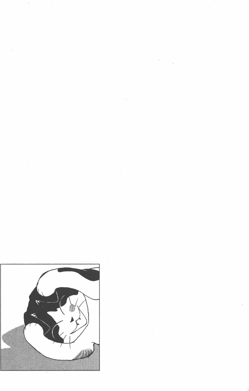第267页