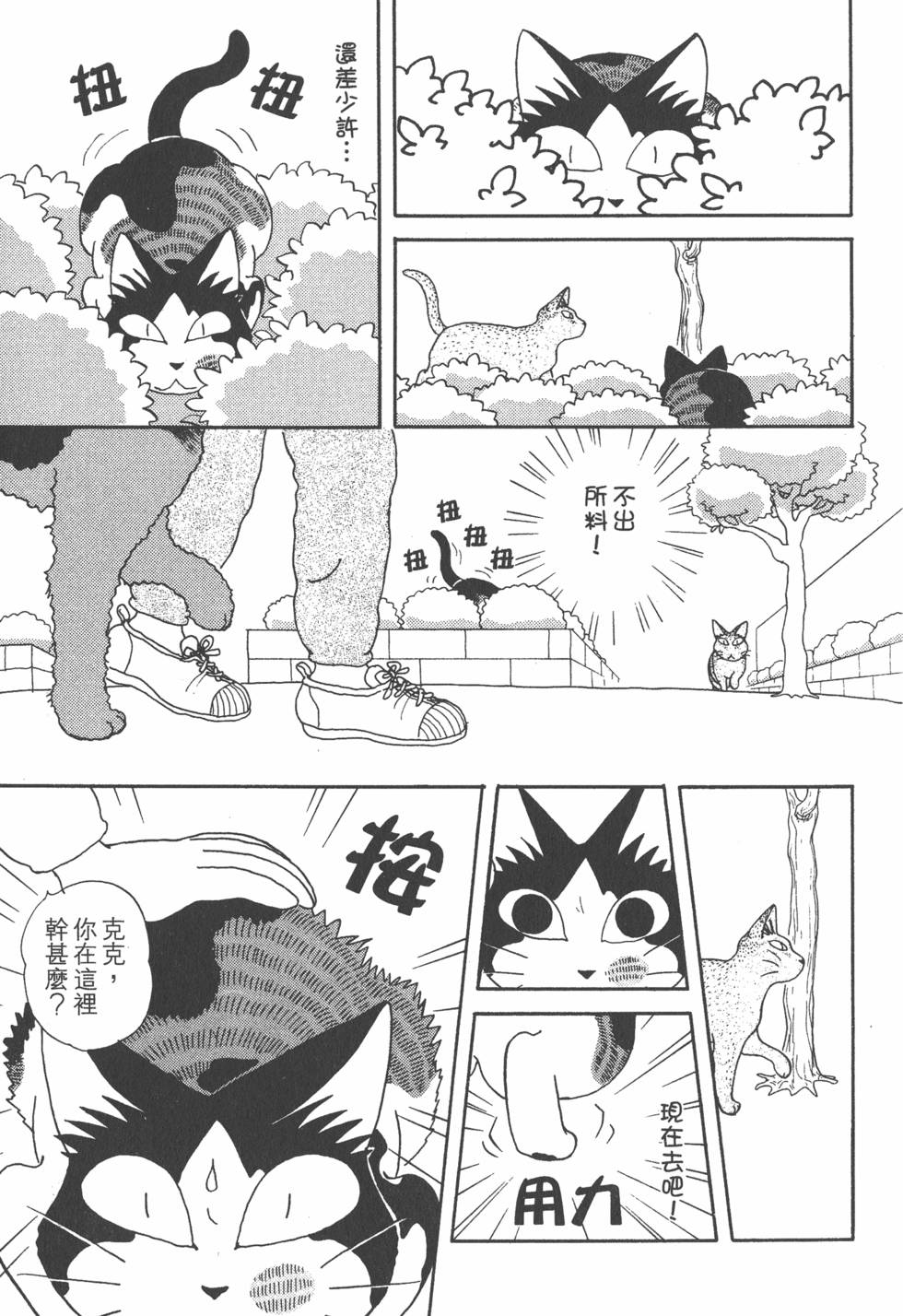 第113页