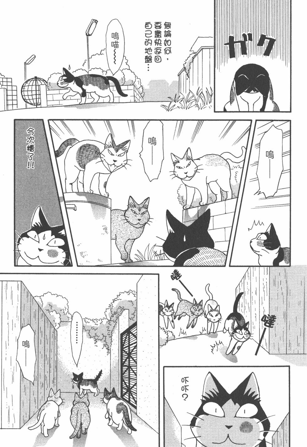 第175页