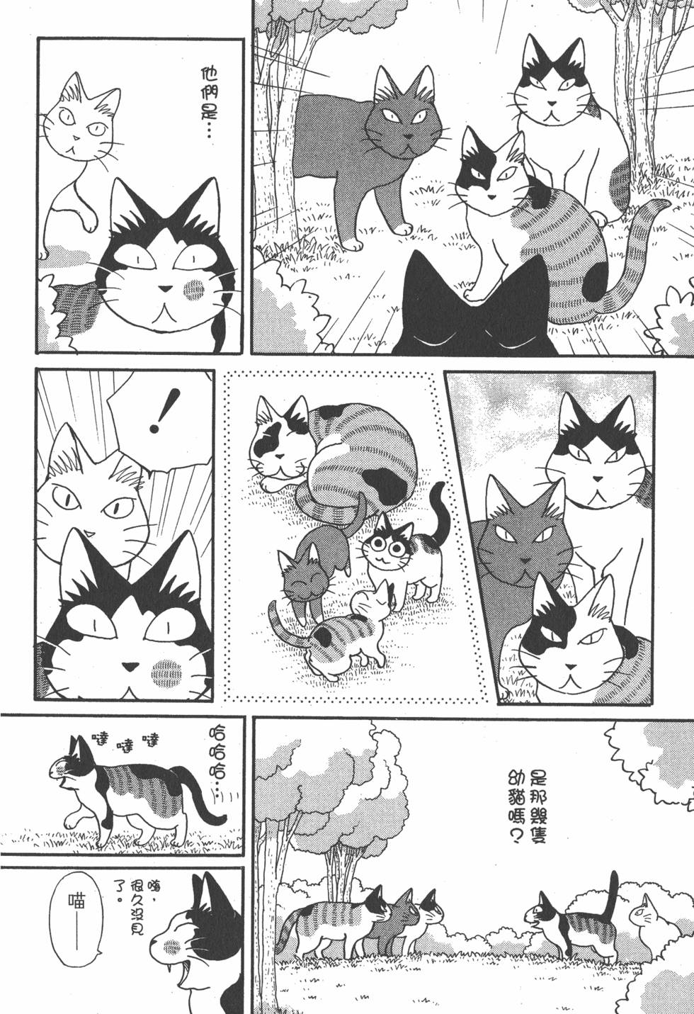 第204页