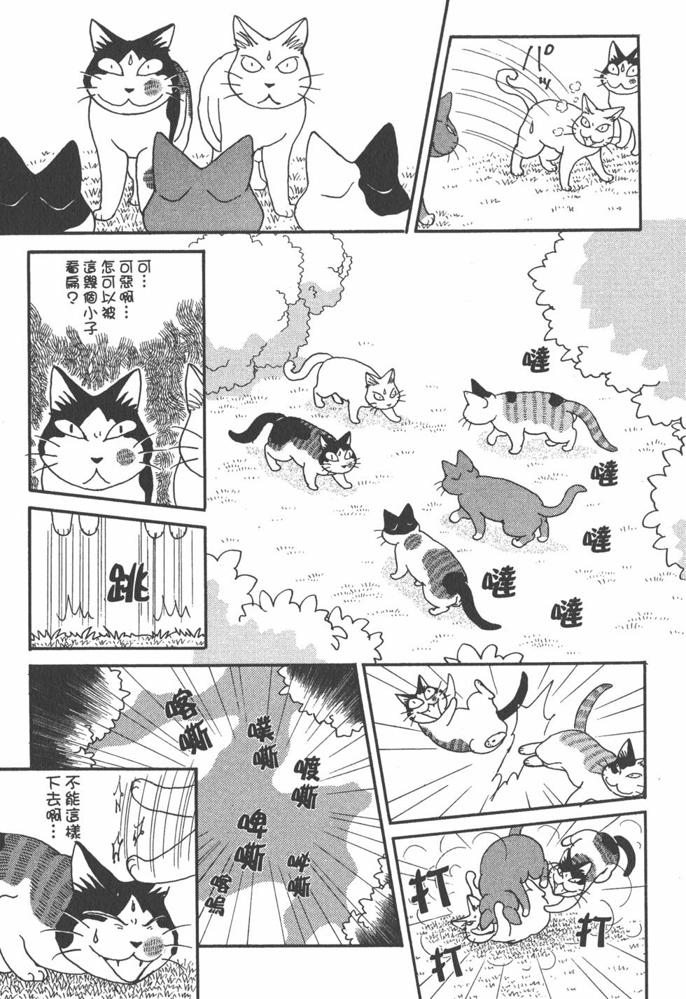 第207页