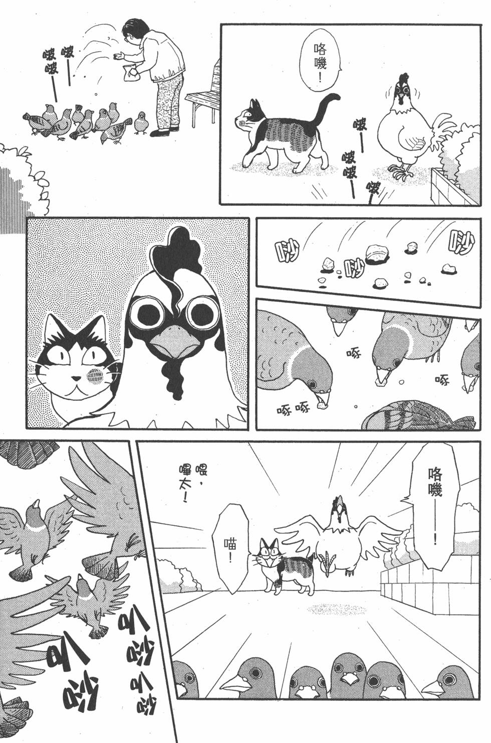 第221页