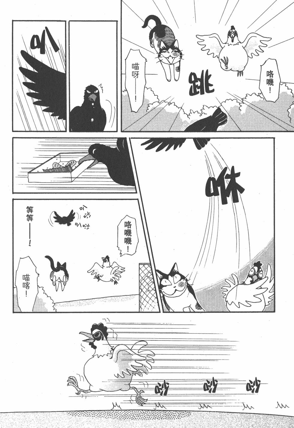 第224页