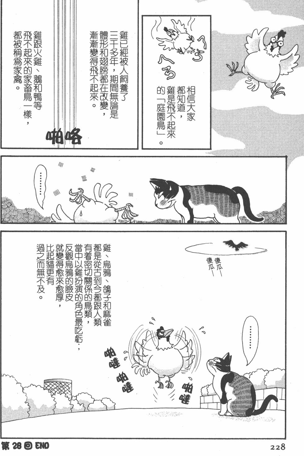 第226页