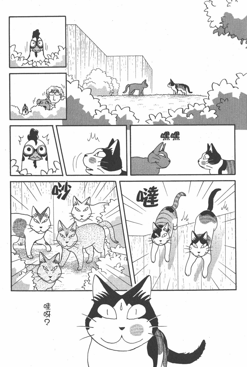 第229页