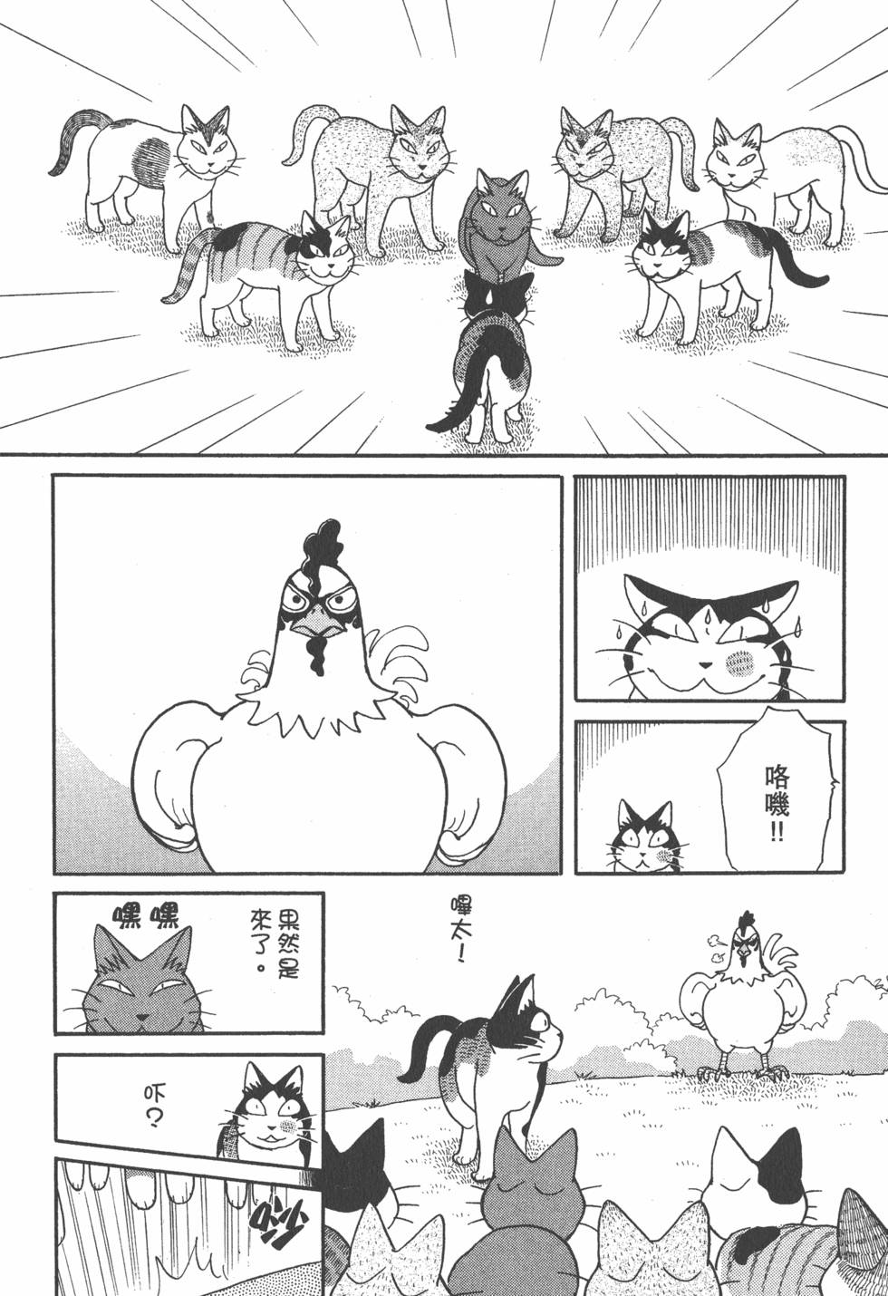 第230页