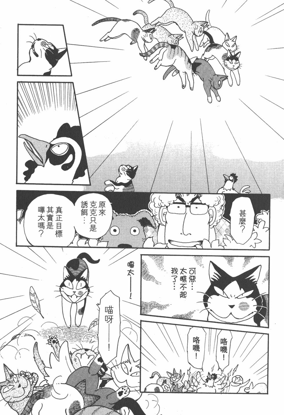 第231页