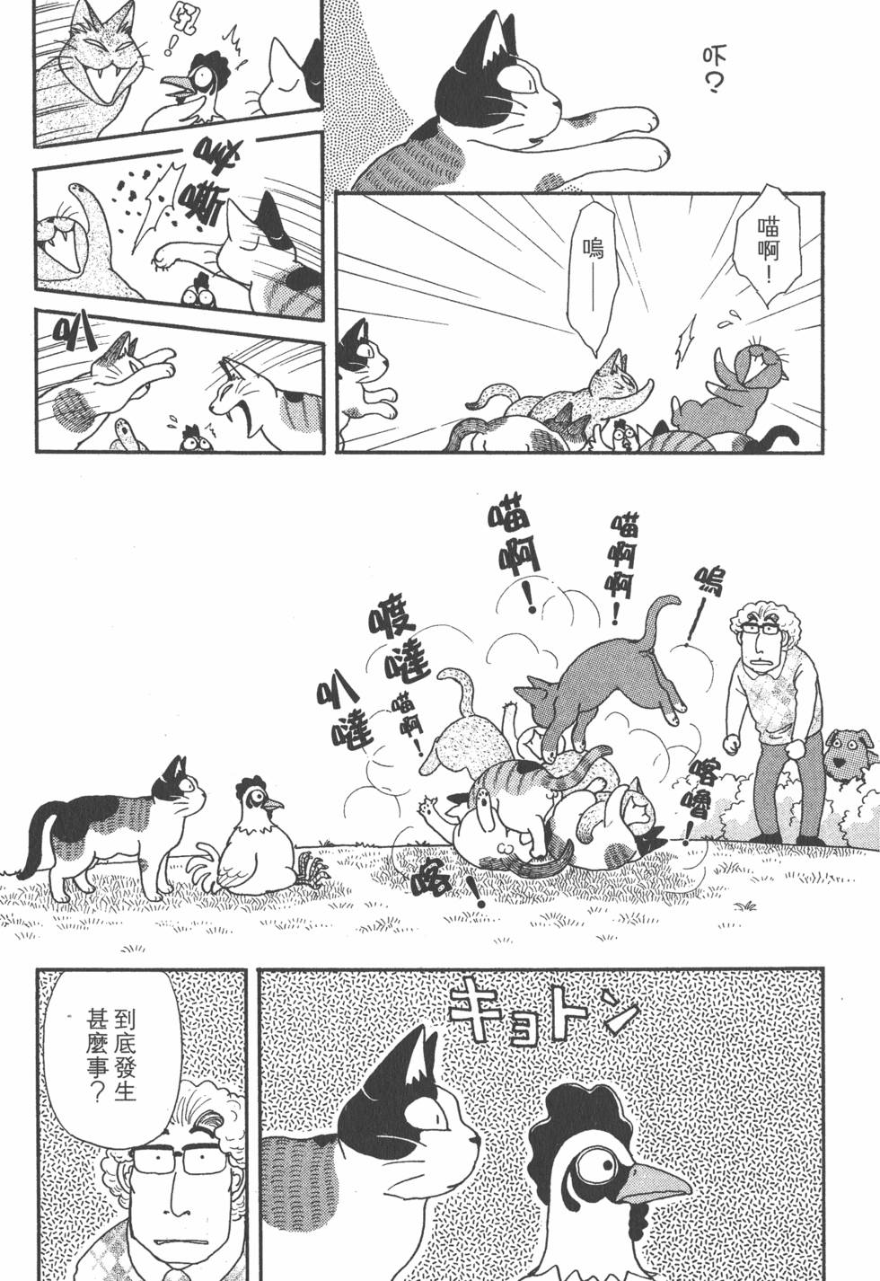 第233页