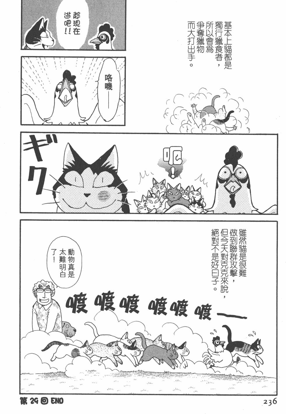 第234页