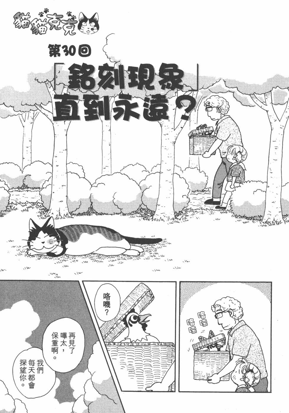 第235页