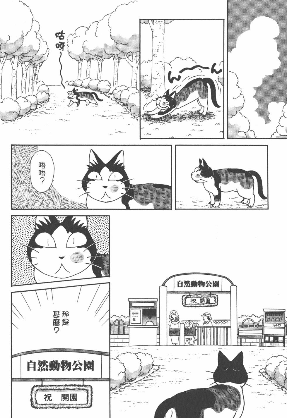 第236页
