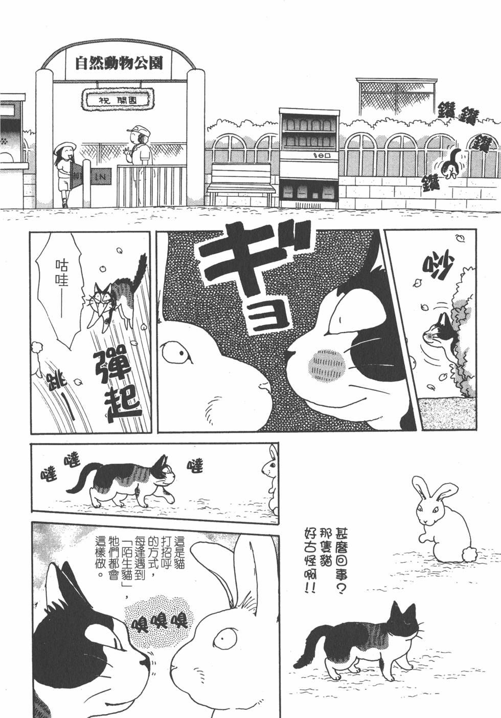 第238页