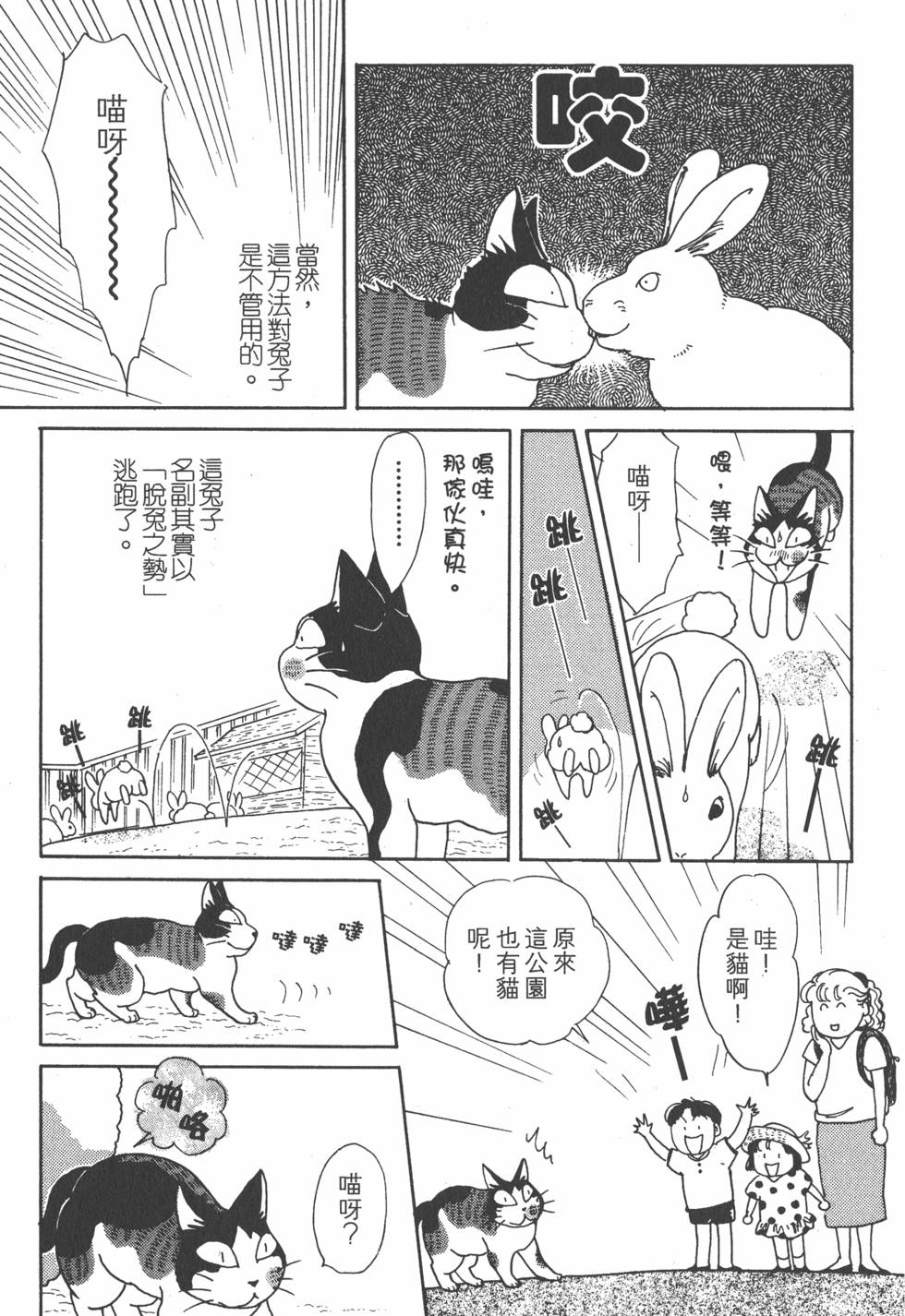 第239页