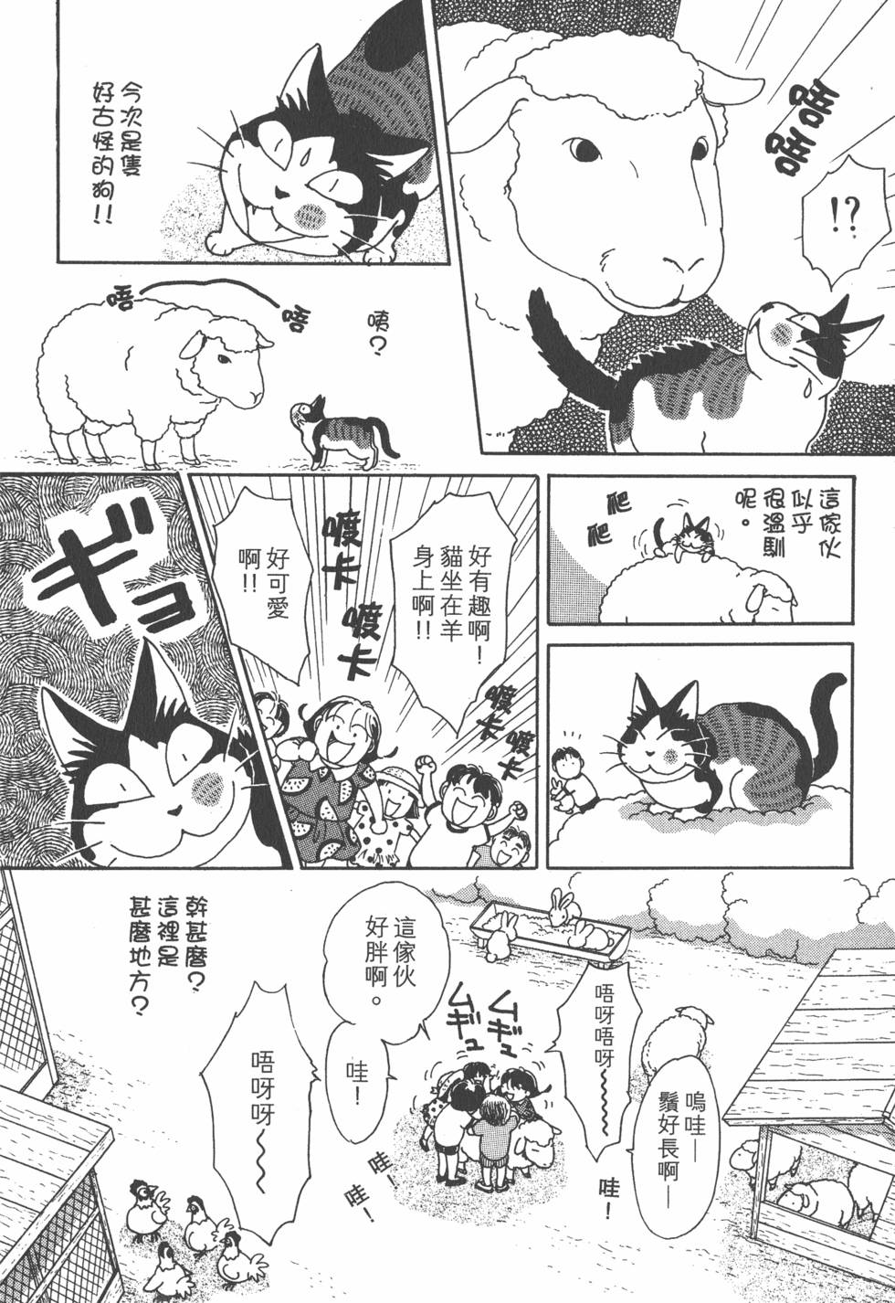 第240页