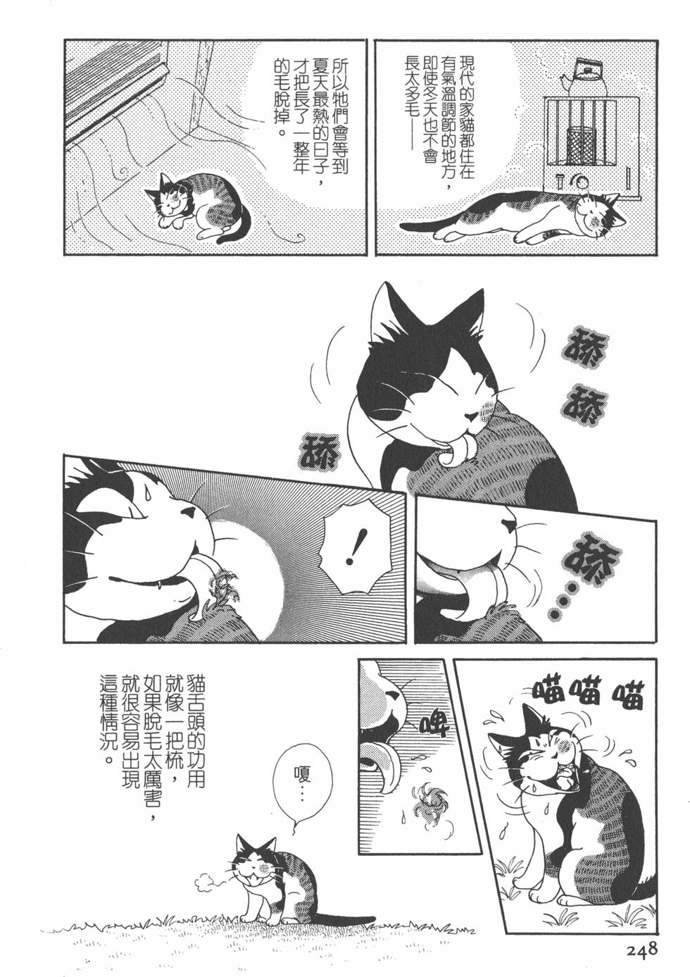 第246页