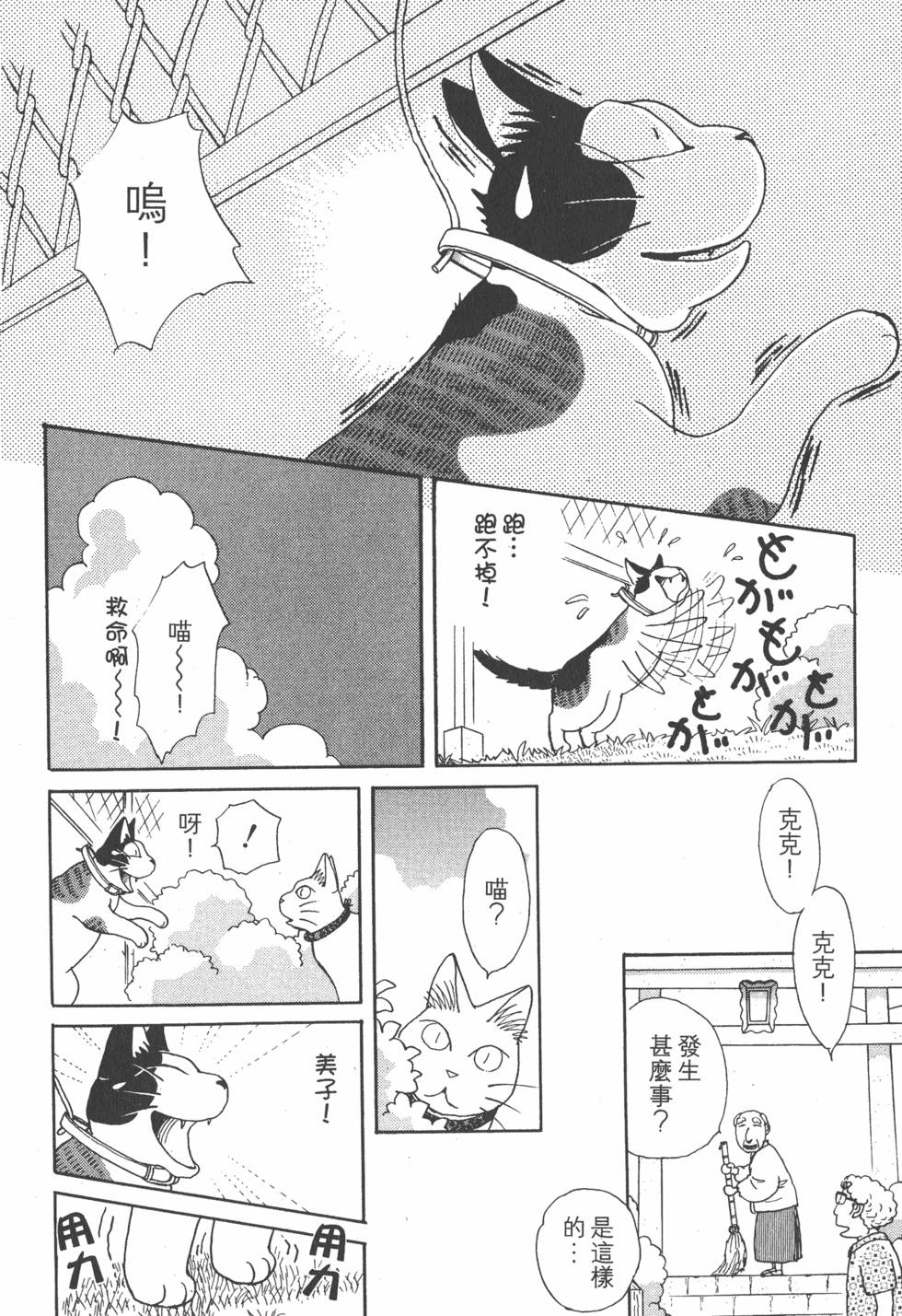 第254页