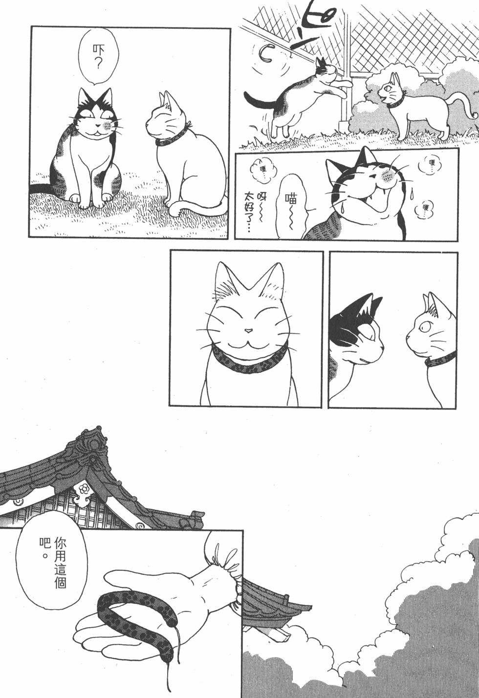 第255页