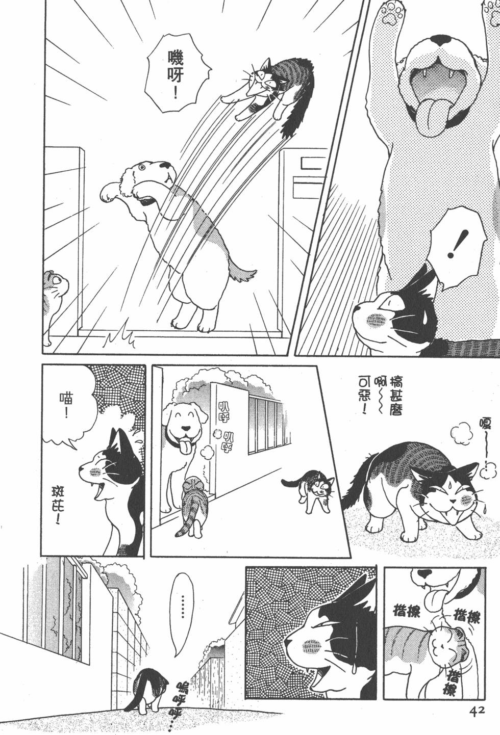 第40页