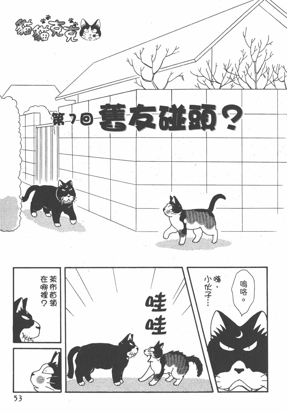 第51页