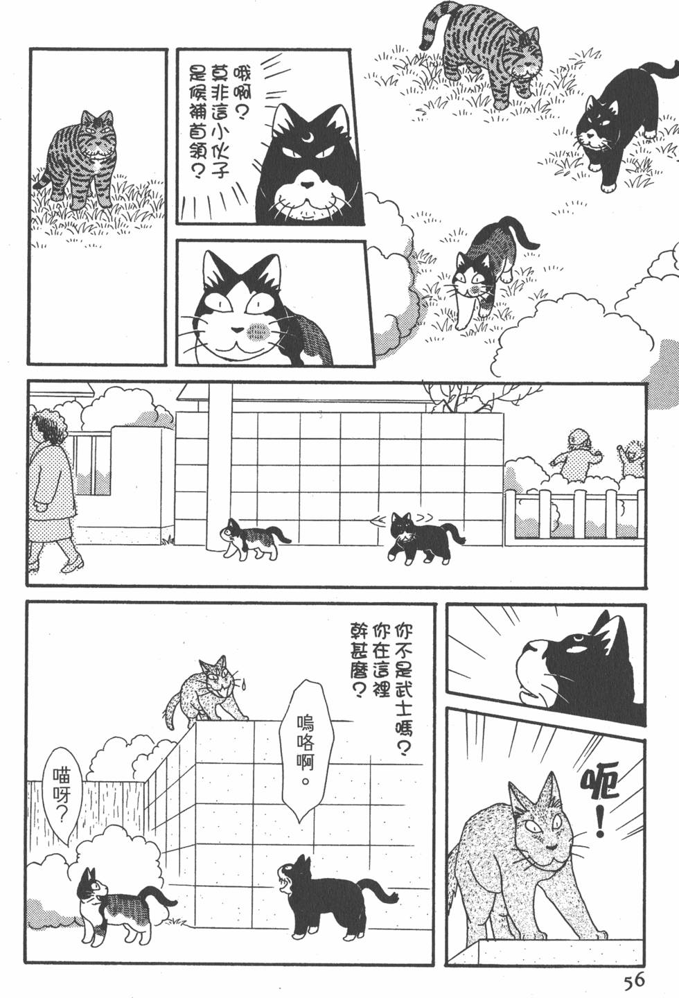 第54页