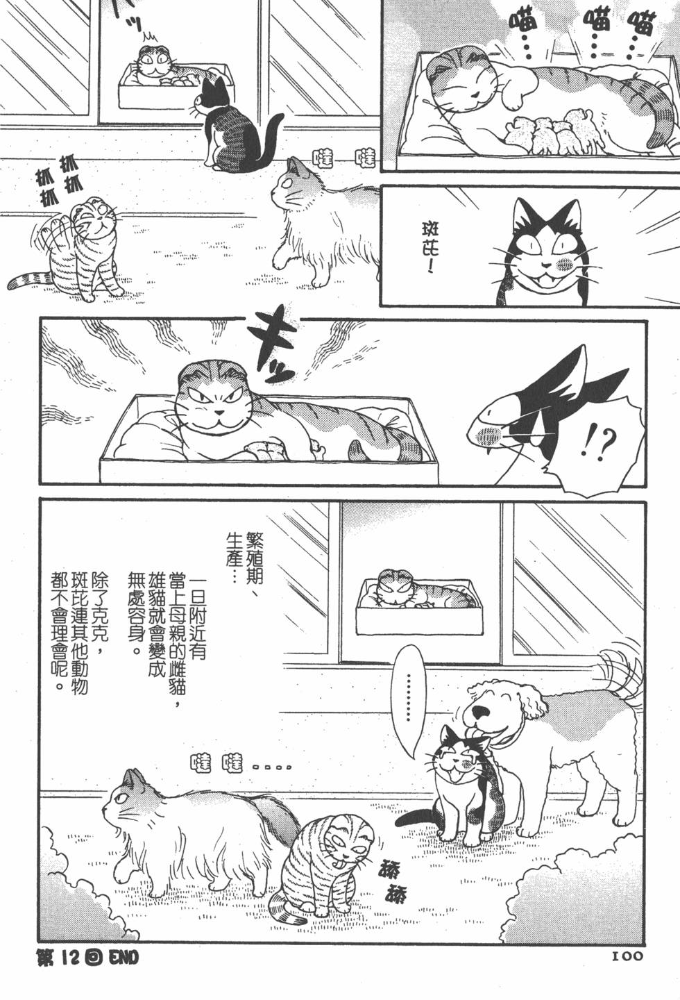 第98页