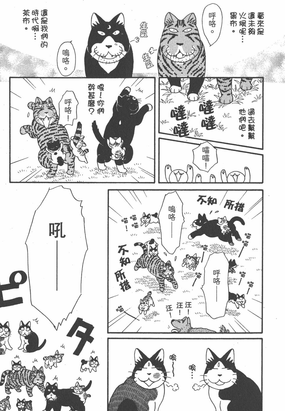 第113页