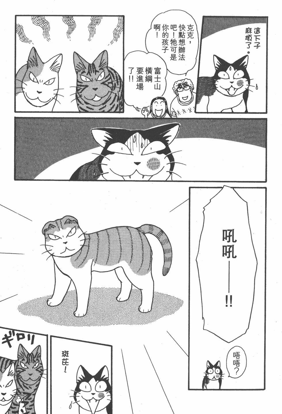 第119页