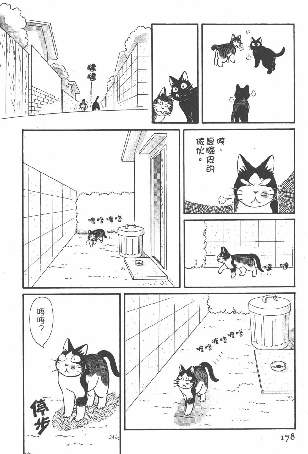 第176页