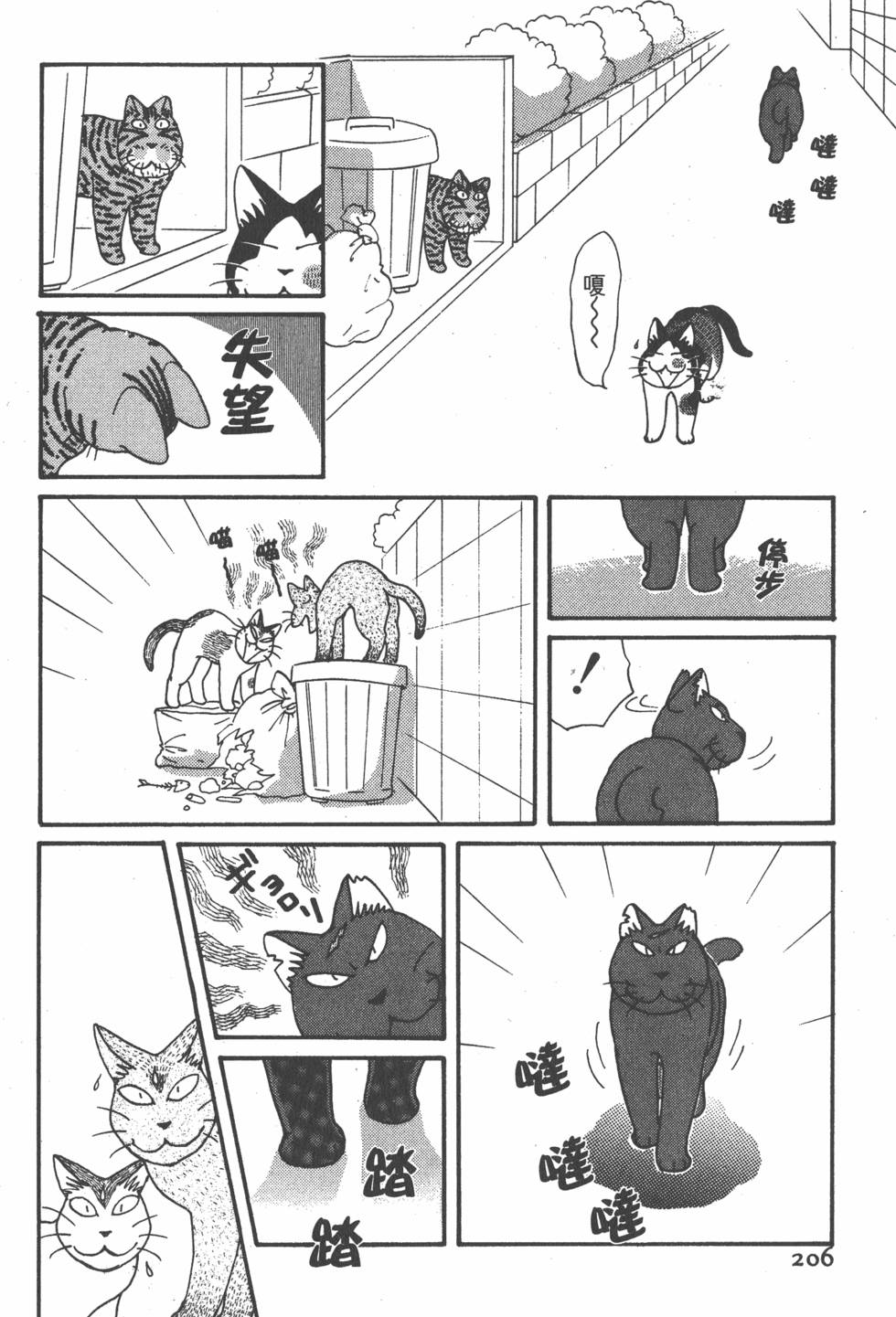 第204页
